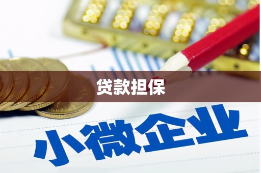 明光贷款担保