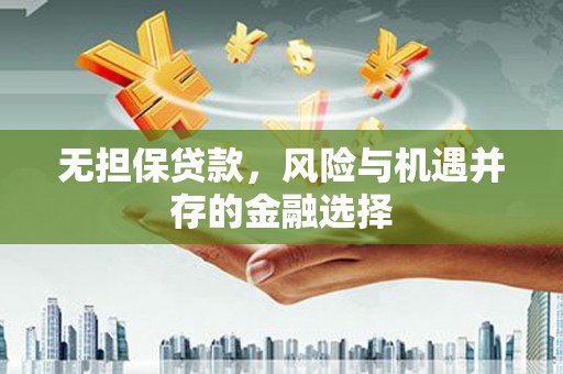 明光无担保贷款，风险与机遇并存的金融选择