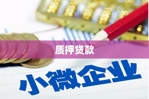 明光质押贷款