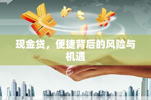 明光现金贷，便捷背后的风险与机遇