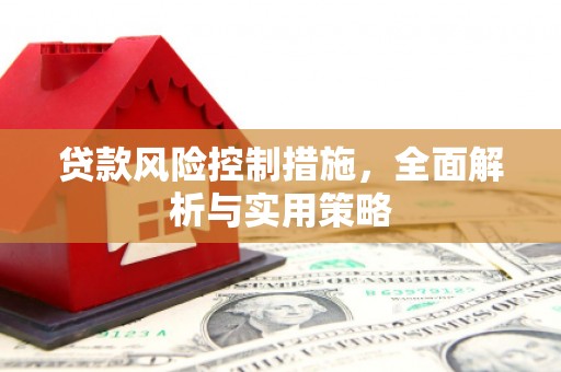 明光贷款风险控制措施，全面解析与实用策略