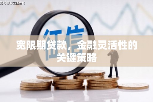 明光宽限期贷款，金融灵活性的关键策略