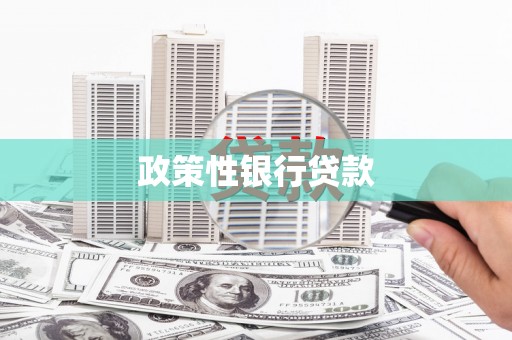 明光政策性银行贷款
