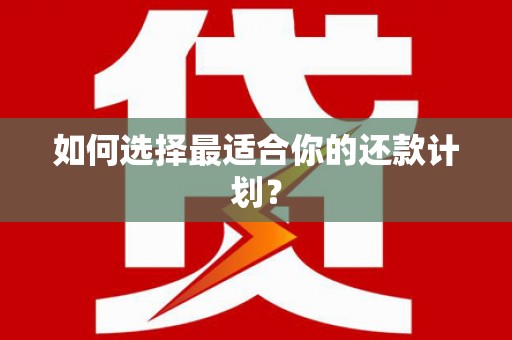 明光如何选择最适合你的还款计划？