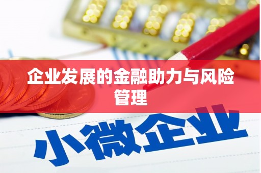 明光企业发展的金融助力与风险管理