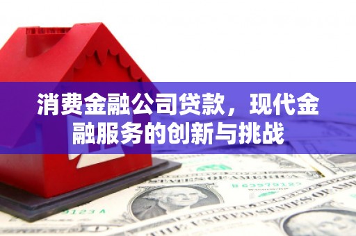 明光消费金融公司贷款，现代金融服务的创新与挑战