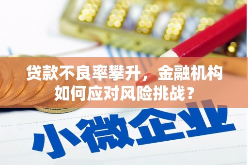 明光贷款不良率攀升，金融机构如何应对风险挑战？