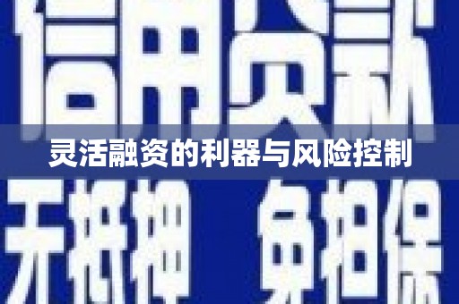 明光灵活融资的利器与风险控制