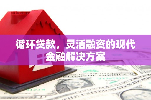 明光循环贷款，灵活融资的现代金融解决方案