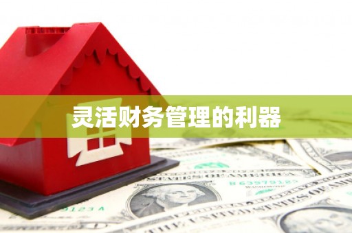 明光灵活财务管理的利器