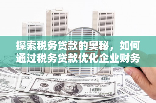 明光探索税务贷款的奥秘，如何通过税务贷款优化企业财务