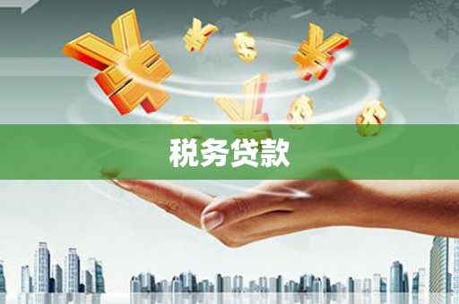 明光税务贷款