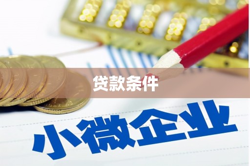 明光贷款条件