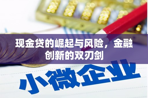 明光现金贷的崛起与风险，金融创新的双刃剑