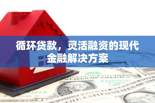 明光循环贷款，灵活融资的现代金融解决方案