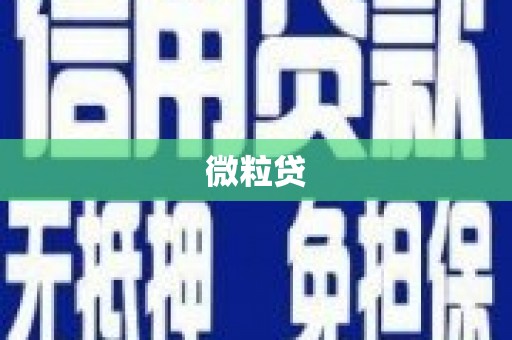 明光微粒贷