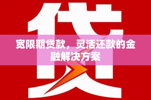 明光宽限期贷款，灵活还款的金融解决方案