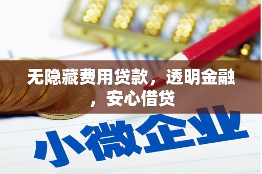 明光无隐藏费用贷款，透明金融，安心借贷