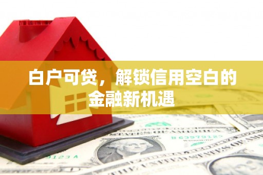明光白户可贷，解锁信用空白的金融新机遇