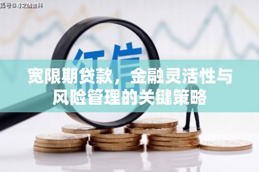 明光宽限期贷款，金融灵活性与风险管理的关键策略