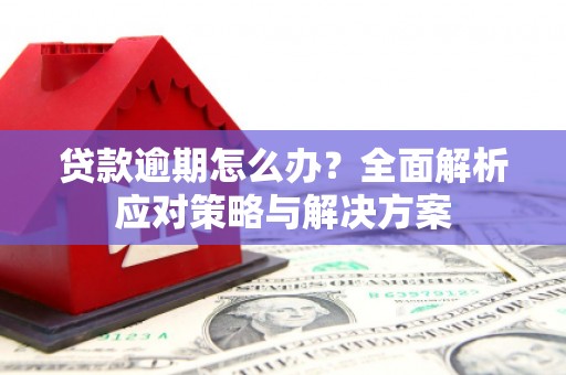 明光贷款逾期怎么办？全面解析应对策略与解决方案