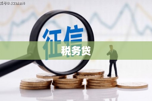明光税务贷
