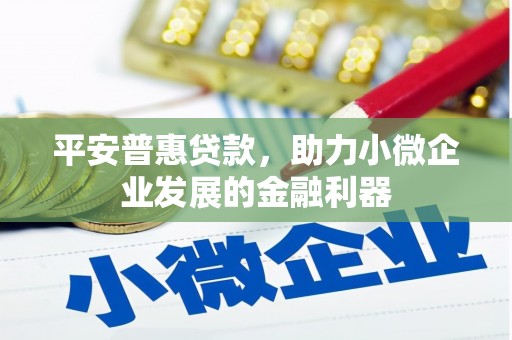 明光平安普惠贷款，助力小微企业发展的金融利器