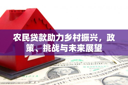 明光农民贷款助力乡村振兴，政策、挑战与未来展望