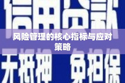 明光风险管理的核心指标与应对策略