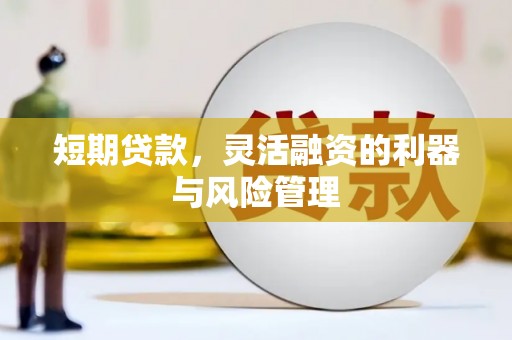 明光短期贷款，灵活融资的利器与风险管理