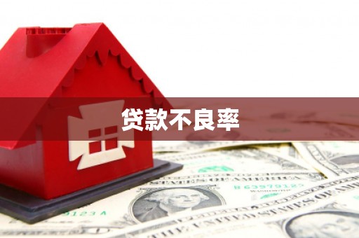 明光贷款不良率