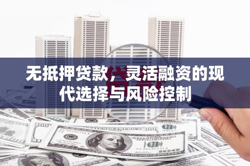 明光无抵押贷款，灵活融资的现代选择与风险控制