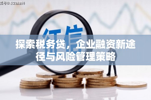 明光探索税务贷，企业融资新途径与风险管理策略
