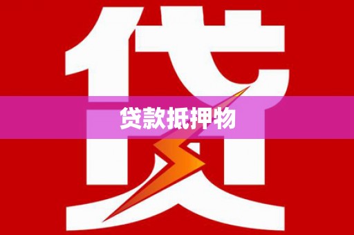 明光贷款抵押物