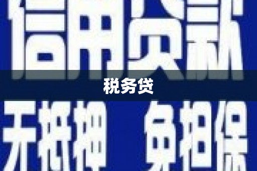明光税务贷