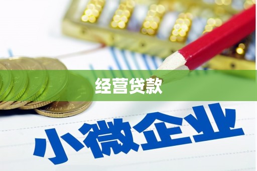 明光经营贷款