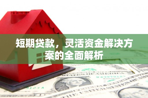 明光短期贷款，灵活资金解决方案的全面解析