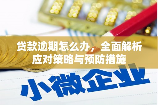 明光贷款逾期怎么办，全面解析应对策略与预防措施