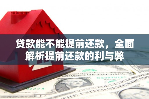 明光贷款能不能提前还款，全面解析提前还款的利与弊
