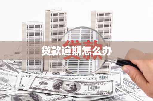 明光贷款逾期怎么办
