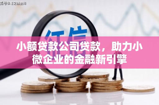 明光小额贷款公司贷款，助力小微企业的金融新引擎