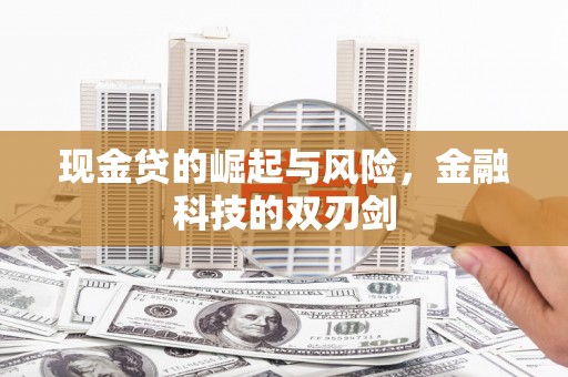 明光现金贷的崛起与风险，金融科技的双刃剑