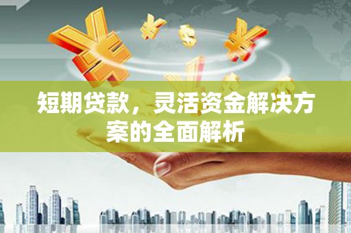 明光短期贷款，灵活资金解决方案的全面解析