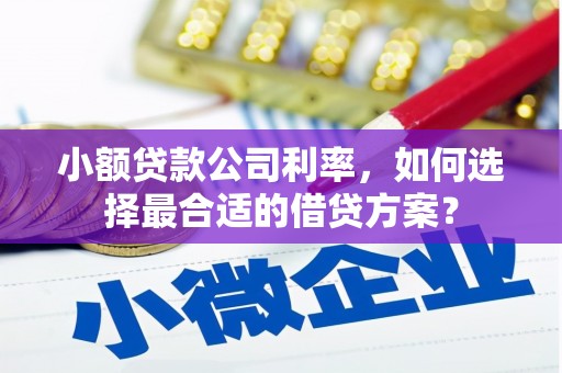 明光小额贷款公司利率，如何选择最合适的借贷方案？