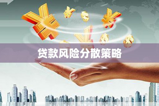 明光贷款风险分散策略