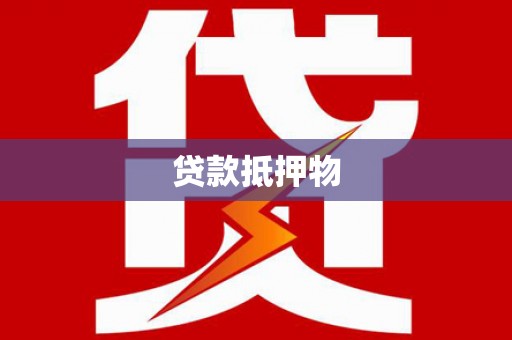 明光贷款抵押物
