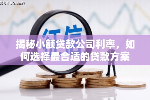 明光揭秘小额贷款公司利率，如何选择最合适的贷款方案
