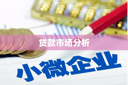 明光贷款市场分析