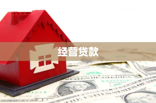 明光经营贷款