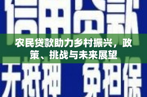 明光农民贷款助力乡村振兴，政策、挑战与未来展望